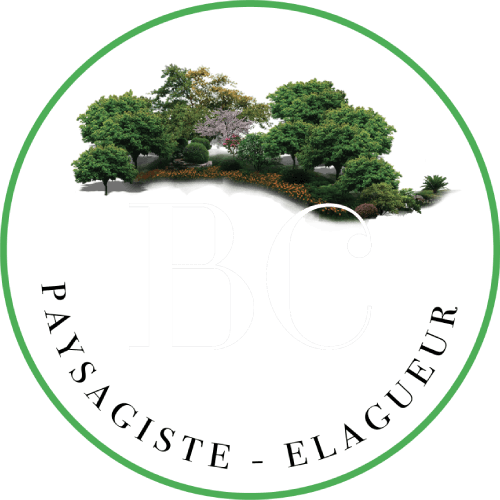 BC Paysagiste - Elagueur