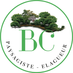 BC Paysagiste - Elagueur